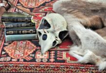 How To Cast A Spell To Make Someone Love You how-to-cast-a-spell-to-make-someone-love-you