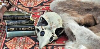 How To Cast A Spell To Make Someone Love You how-to-cast-a-spell-to-make-someone-love-you