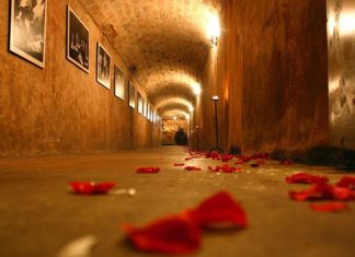 Love Spells That Work: Bring True Happiness? love spells that work