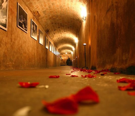 Love Spells That Work: Bring True Happiness? love spells that work