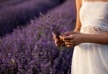 Love Spells To Change Your Lover’s Mind love spells to change your lovers mind