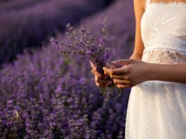 Love Spells To Change Your Lover’s Mind love spells to change your lovers mind