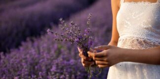 Love Spells To Change Your Lover’s Mind love spells to change your lovers mind