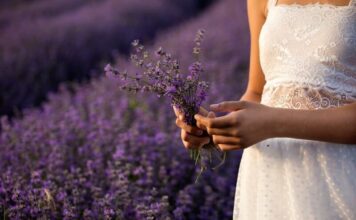 Love Spells To Change Your Lover’s Mind love spells to change your lovers mind
