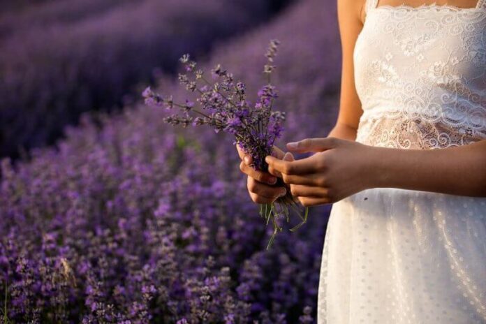 love spells to change your lovers mind
