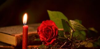 The Power Of Return Lover Spells Return Lover Spells